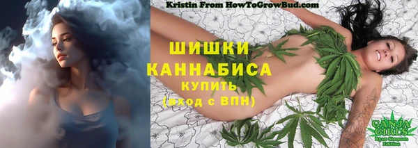 хмурый Балабаново