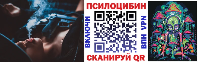 Галлюциногенные грибы Cubensis  Бологое 