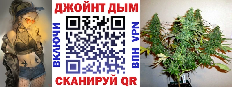 Конопля сатива Бологое